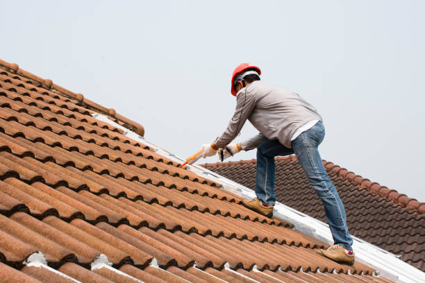 Best Skylight Installation and Repair  in Cibolo, TX